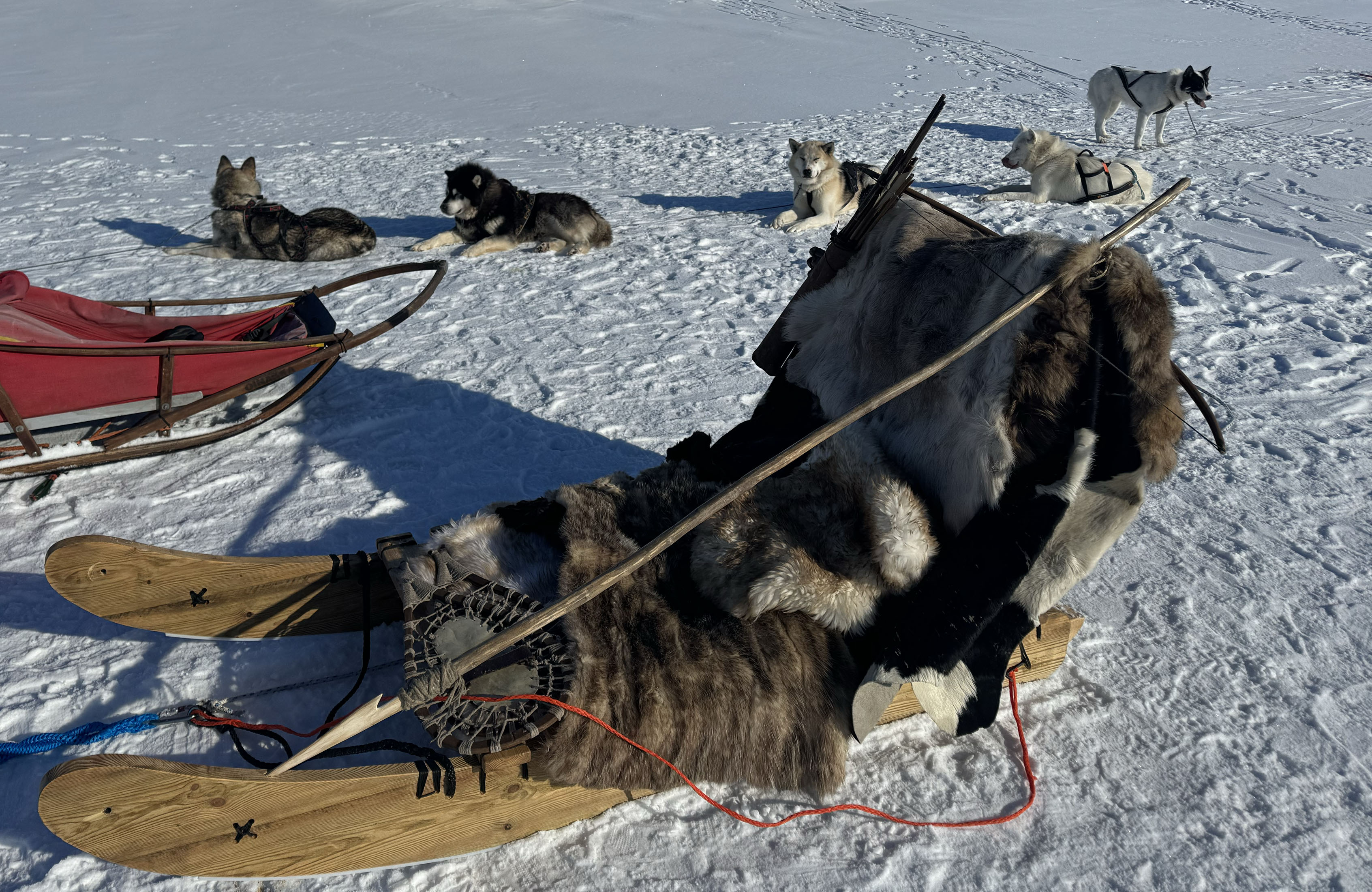Sleds and equipment used on set