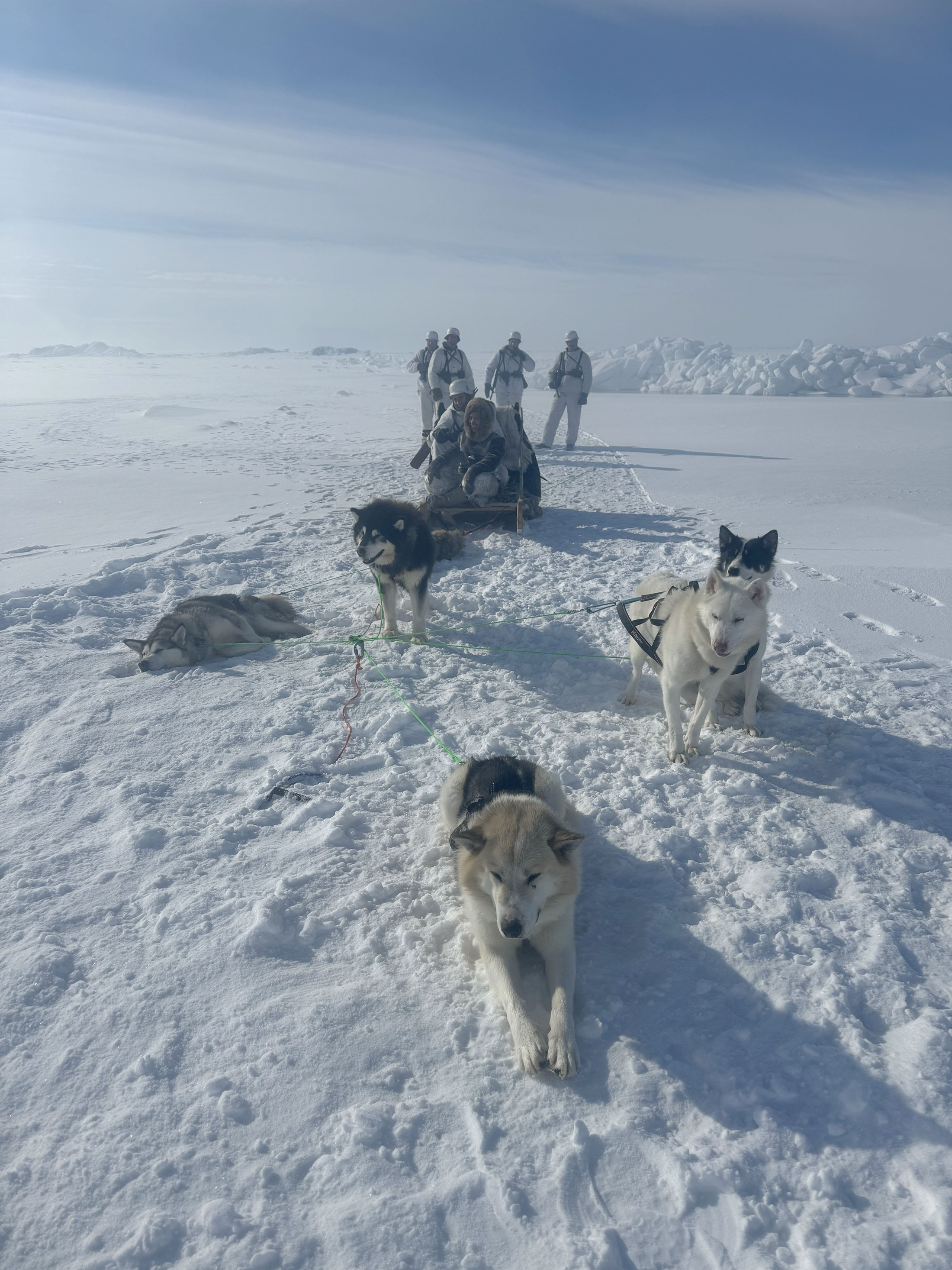Greenland dog team on the set of Smilla's Sense of Snow