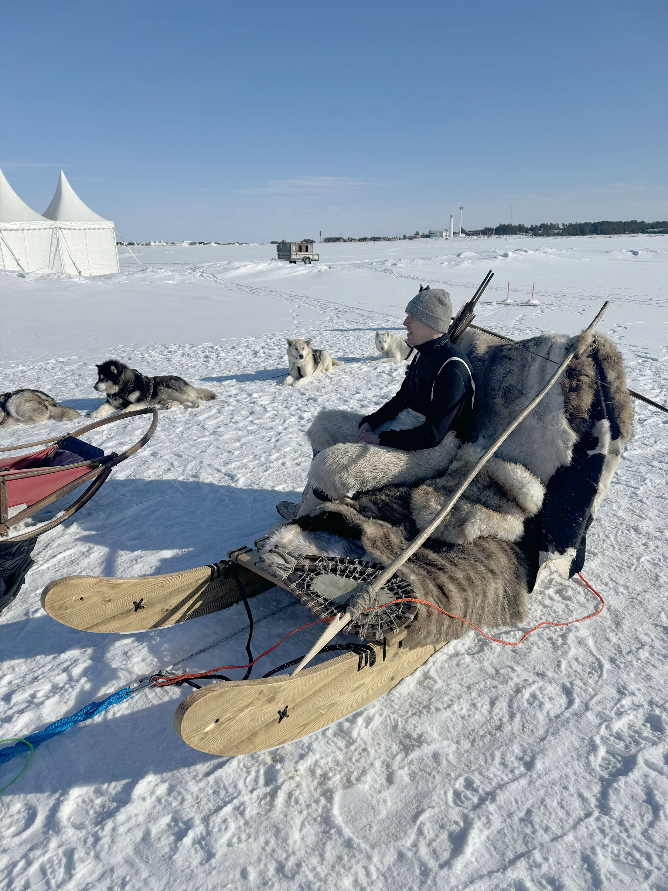 Greenland dog team on the set of Smilla's Sense of Snow