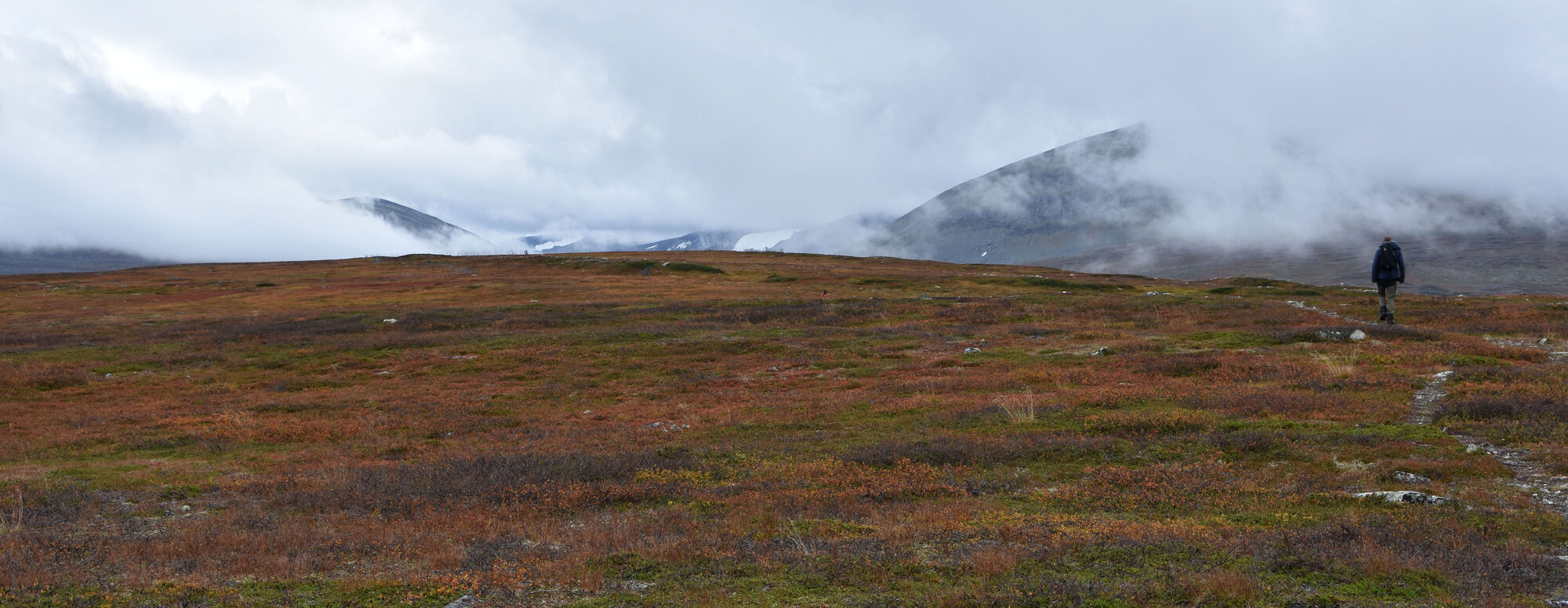 Golden autumn birch and amber fells above a lake in Rapadalen, Swedish Lapland