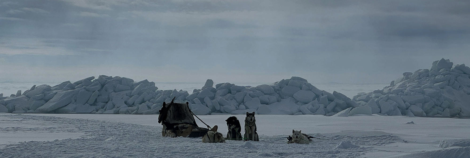 Greenland dog team on set in Swedish Lapland