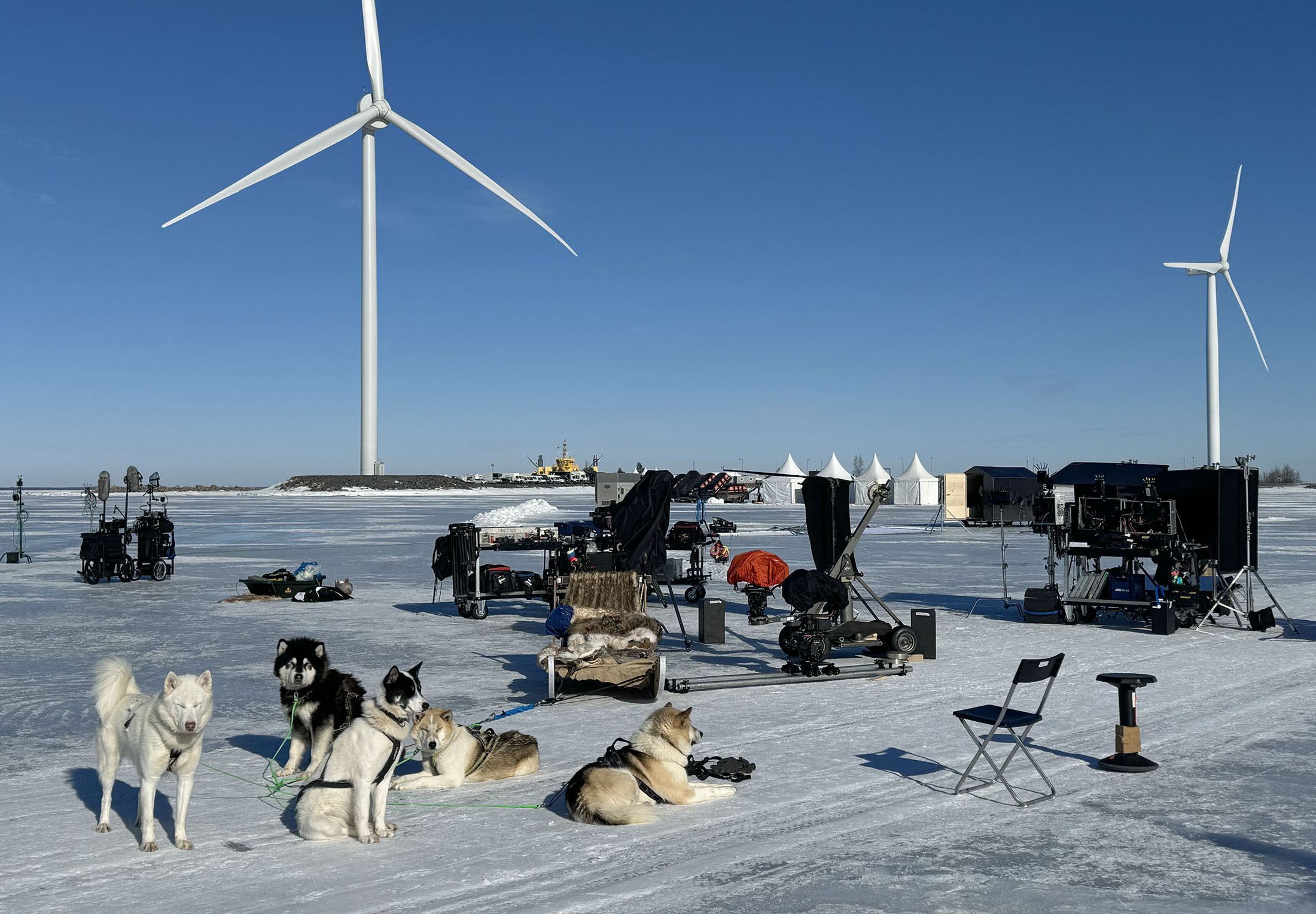 Qimmeq Greenland dog team on a film production set
